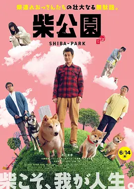 婷婷丁香在线观看