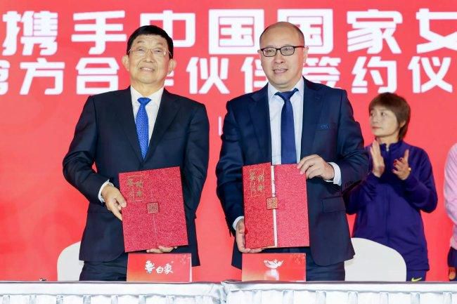 国内精品久久久久精品免费