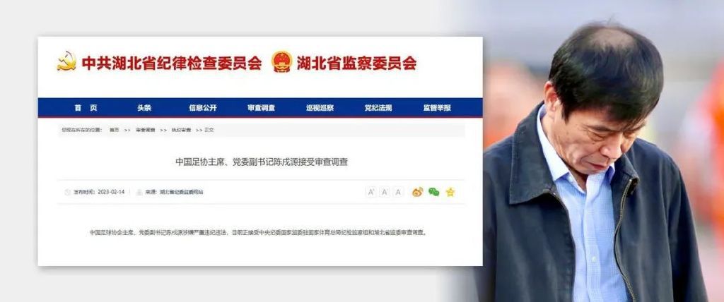 精品久久久久久国产免费了