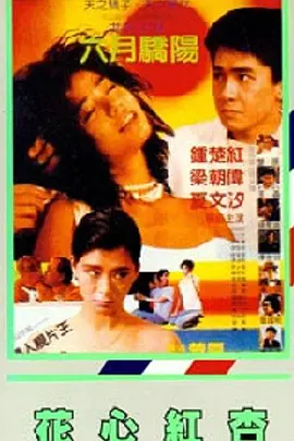 黄色的:视频