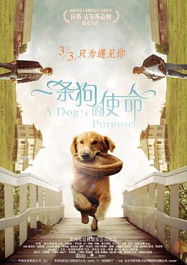 韩国伦理电影年轻的嫂子