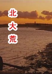 中文精品久久久久国产网站