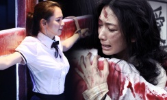 高清一区二区在线观看