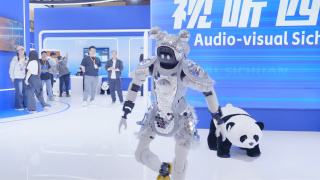 91精品成人免费国产片
